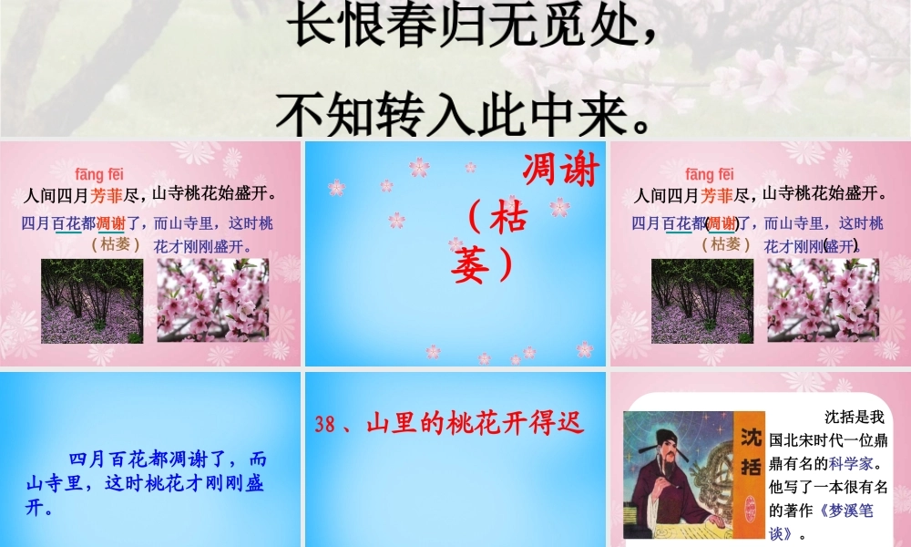 秋二年级语文上册《山里的桃花开得迟》课件1 沪教版-沪教版小学二年级上册语文课件