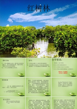 秋五年级语文上册《红树林》课件4 北师大版-北师大版小学五年级上册语文课件