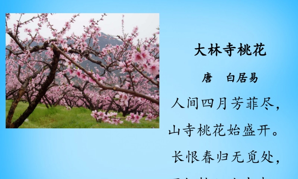 秋二年级语文上册《山里的桃花开得迟》课件2 沪教版-沪教版小学二年级上册语文课件