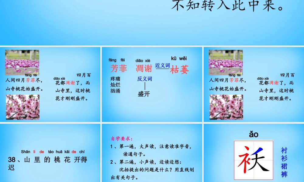 秋二年级语文上册《山里的桃花开得迟》课件2 沪教版-沪教版小学二年级上册语文课件