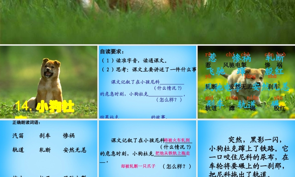 秋三年级语文上册《小狗杜克》课件1 沪教版-沪教版小学三年级上册语文课件