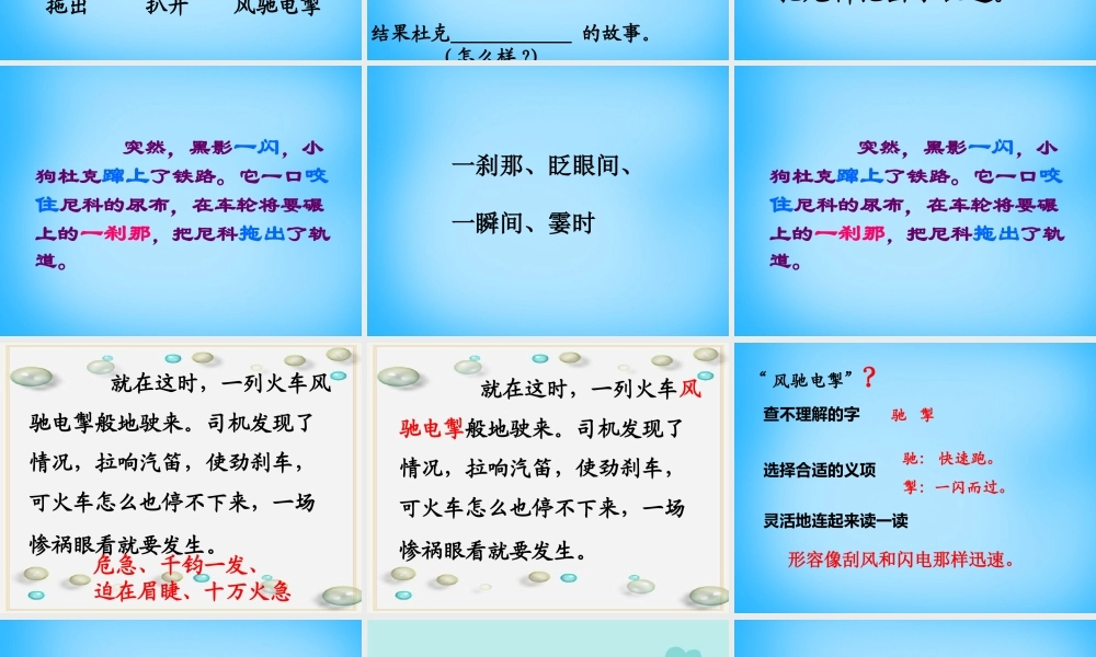 秋三年级语文上册《小狗杜克》课件1 沪教版-沪教版小学三年级上册语文课件