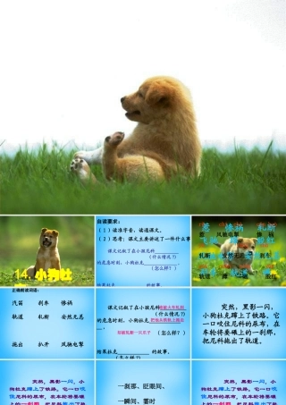 秋三年级语文上册《小狗杜克》课件1 沪教版-沪教版小学三年级上册语文课件