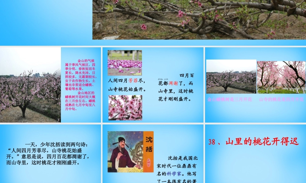 秋二年级语文上册《山里的桃花开得迟》课件3 沪教版-沪教版小学二年级上册语文课件