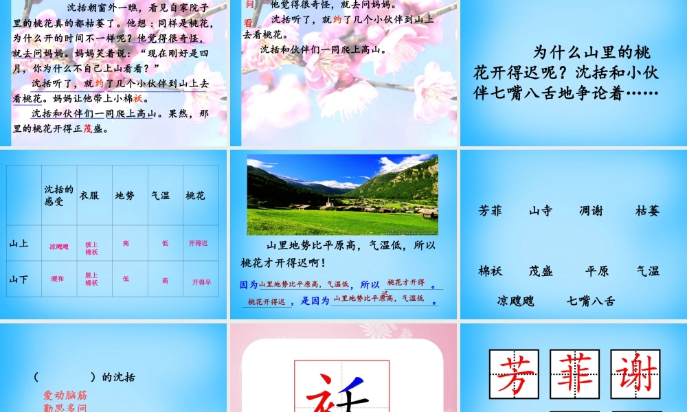 秋二年级语文上册《山里的桃花开得迟》课件3 沪教版-沪教版小学二年级上册语文课件