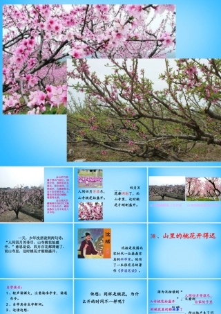 秋二年级语文上册《山里的桃花开得迟》课件3 沪教版-沪教版小学二年级上册语文课件