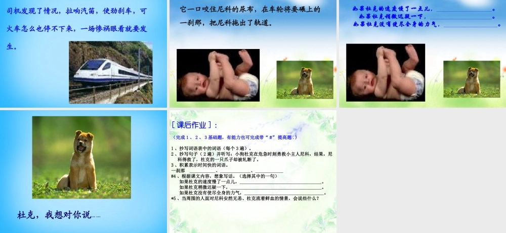 秋三年级语文上册《小狗杜克》课件2 沪教版-沪教版小学三年级上册语文课件