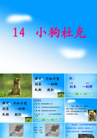 秋三年级语文上册《小狗杜克》课件2 沪教版-沪教版小学三年级上册语文课件