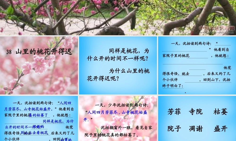 秋二年级语文上册《山里的桃花开得迟》课件4 沪教版-沪教版小学二年级上册语文课件
