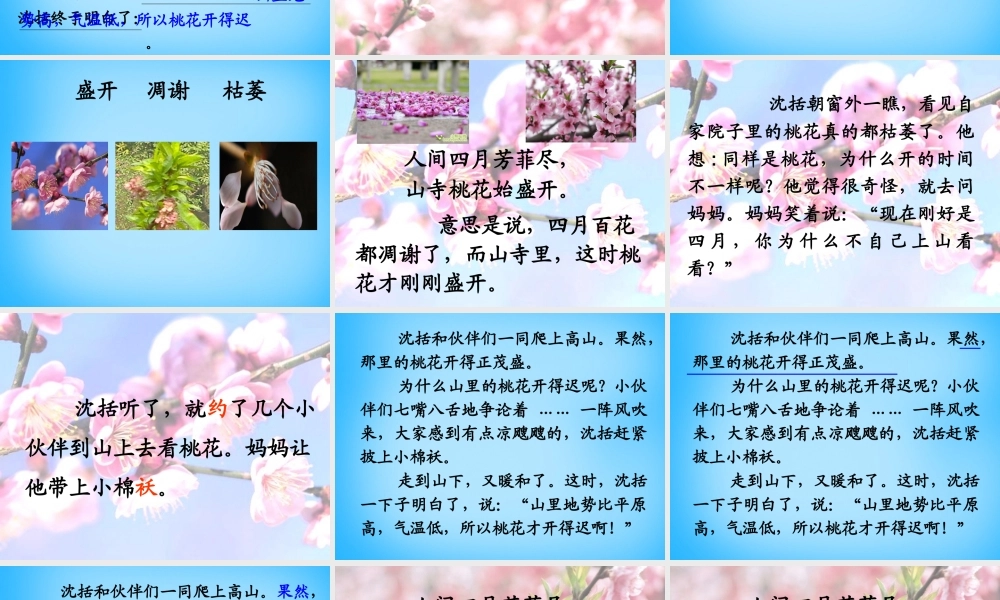 秋二年级语文上册《山里的桃花开得迟》课件4 沪教版-沪教版小学二年级上册语文课件
