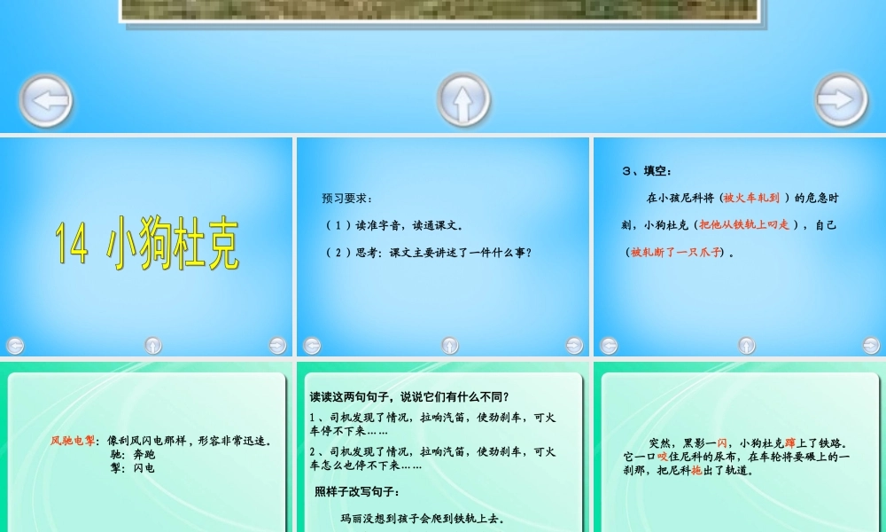秋三年级语文上册《小狗杜克》课件3 沪教版-沪教版小学三年级上册语文课件