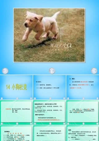 秋三年级语文上册《小狗杜克》课件3 沪教版-沪教版小学三年级上册语文课件