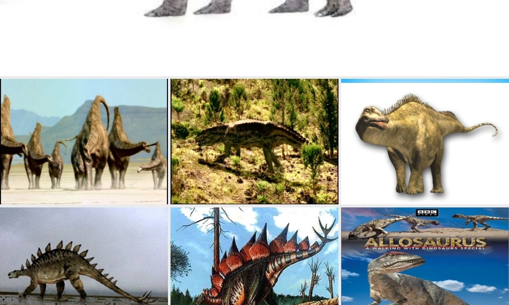 秋二年级语文上册《神秘的恐龙》课件1 沪教版-沪教版小学二年级上册语文课件