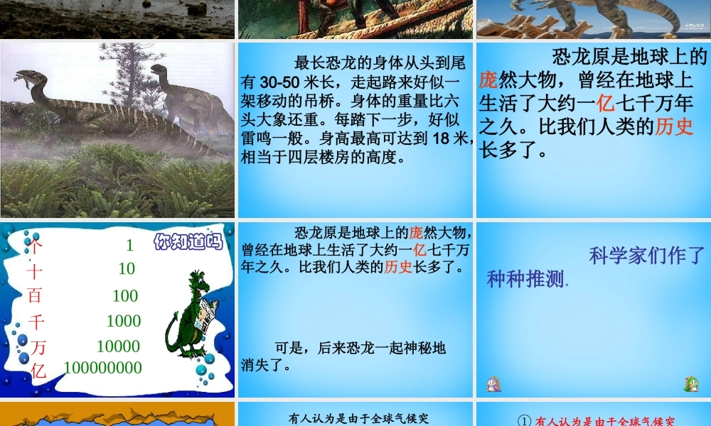 秋二年级语文上册《神秘的恐龙》课件1 沪教版-沪教版小学二年级上册语文课件