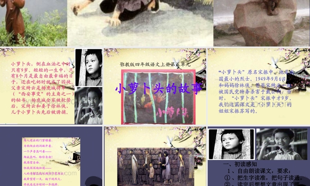 秋三年级语文上册《小萝卜头的故事》课件1 冀教版-冀教版小学三年级上册语文课件