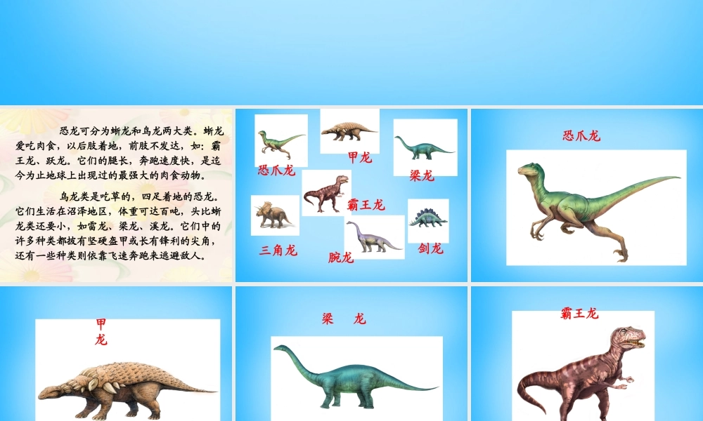 秋二年级语文上册《神秘的恐龙》课件2 沪教版-沪教版小学二年级上册语文课件