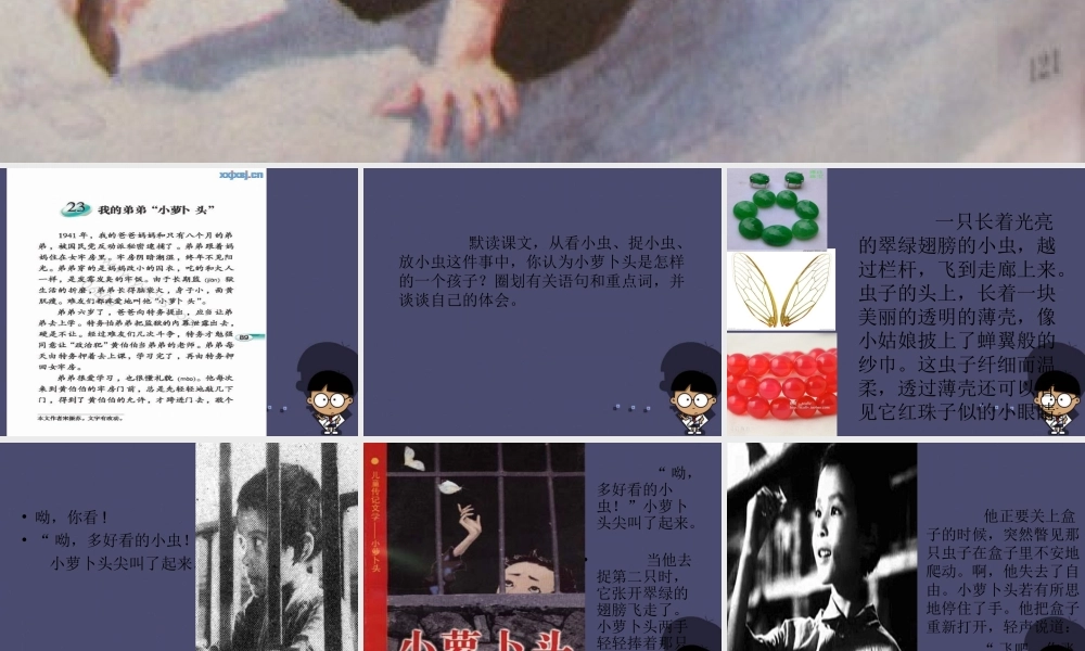 秋三年级语文上册《小萝卜头的故事》课件2 冀教版-冀教版小学三年级上册语文课件