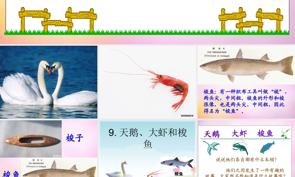 秋二年级语文上册《天鹅、大虾和梭鱼》课件1 北师大版-北师大版小学二年级上册语文课件