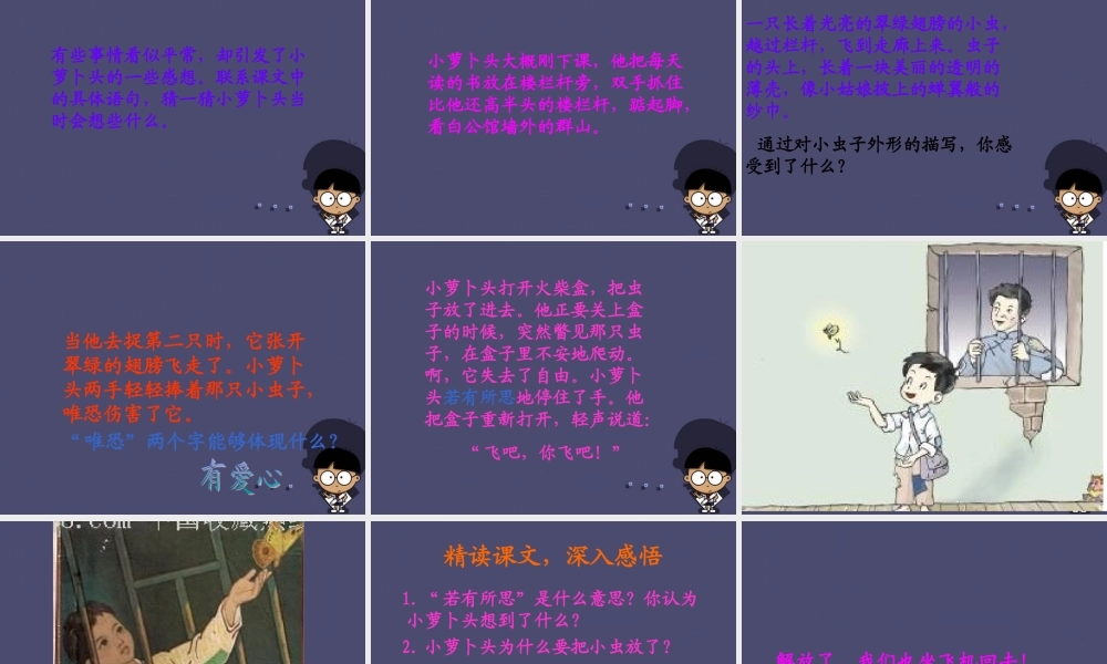 秋三年级语文上册《小萝卜头的故事》课件3 冀教版-冀教版小学三年级上册语文课件