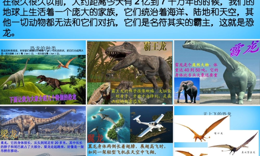 秋二年级语文上册《神秘的恐龙》课件4 沪教版-沪教版小学二年级上册语文课件