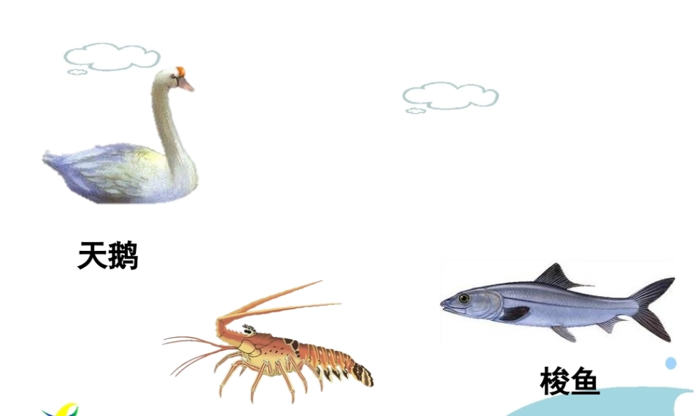 秋二年级语文上册《天鹅、大虾和梭鱼》课件2 北师大版-北师大版小学二年级上册语文课件