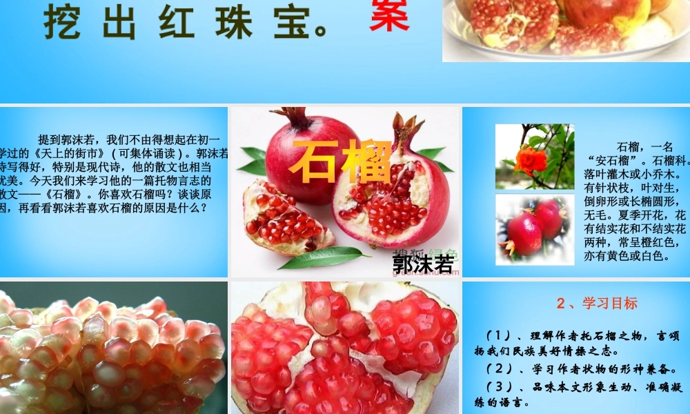 秋二年级语文上册《石榴》课件1 沪教版-沪教版小学二年级上册语文课件