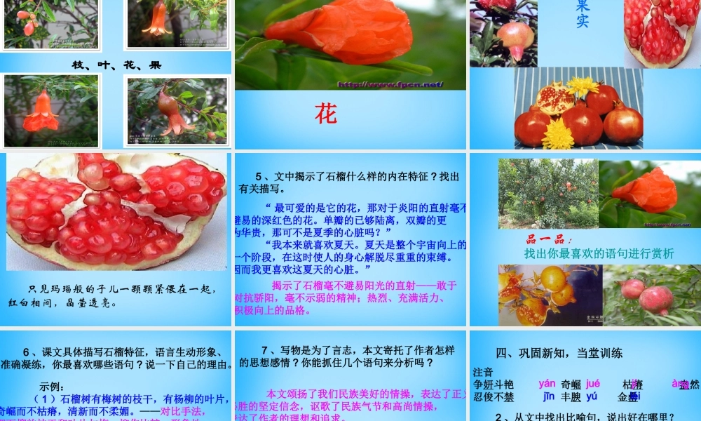 秋二年级语文上册《石榴》课件1 沪教版-沪教版小学二年级上册语文课件