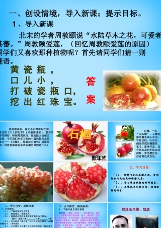 秋二年级语文上册《石榴》课件1 沪教版-沪教版小学二年级上册语文课件
