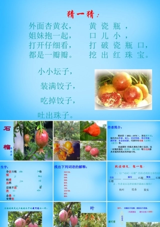 秋二年级语文上册《石榴》课件2 沪教版-沪教版小学二年级上册语文课件