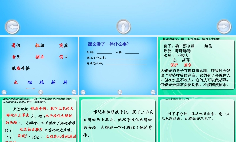 秋二年级语文上册《一条大蟒蛇》课件1 沪教版-沪教版小学二年级上册语文课件