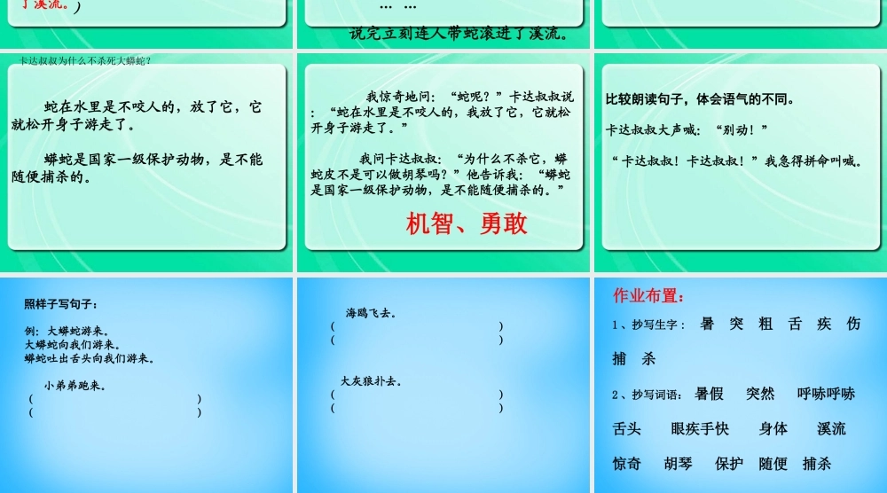 秋二年级语文上册《一条大蟒蛇》课件1 沪教版-沪教版小学二年级上册语文课件