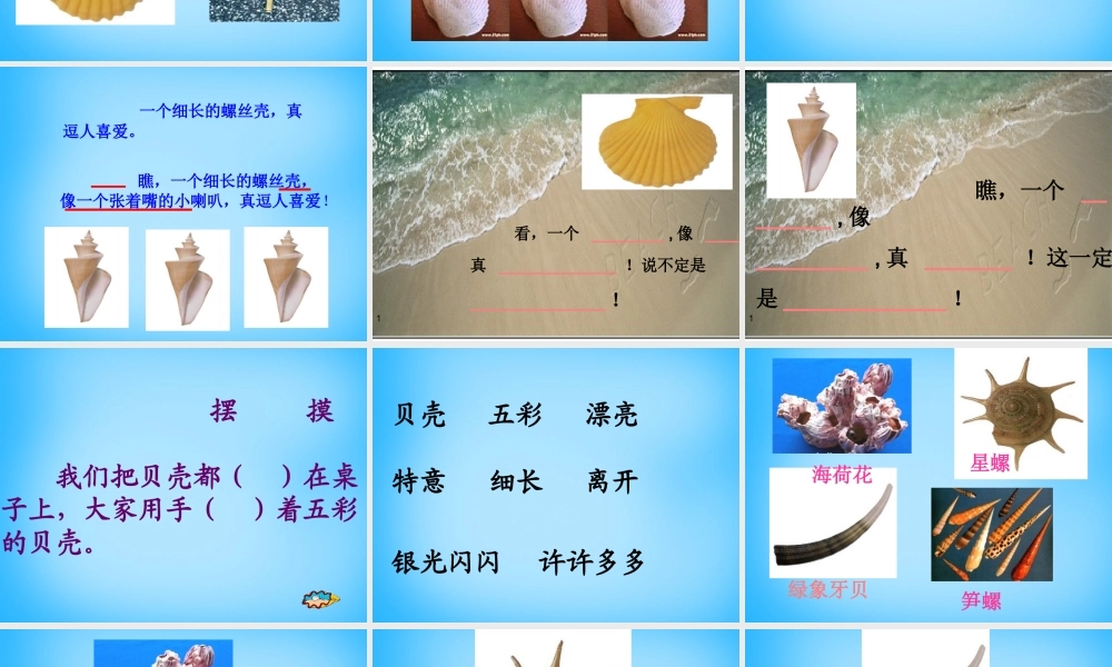 秋二年级语文上册《拾贝壳》课件1 沪教版-沪教版小学二年级上册语文课件