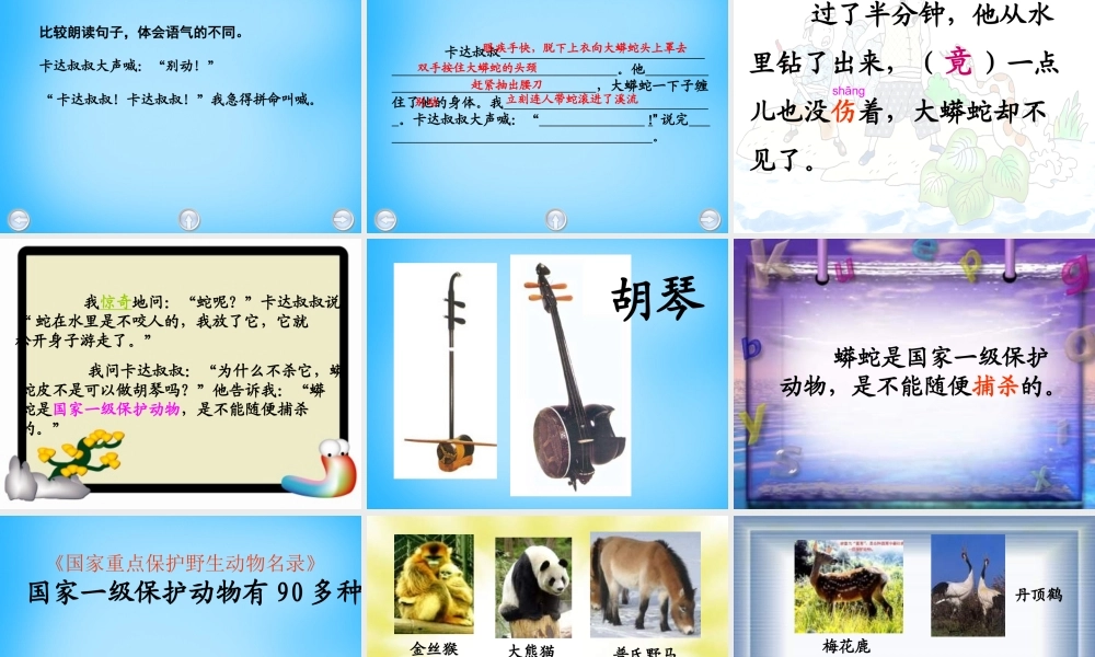 秋二年级语文上册《一条大蟒蛇》课件2 沪教版-沪教版小学二年级上册语文课件