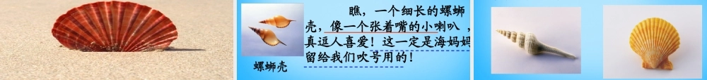 秋二年级语文上册《拾贝壳》课件2 沪教版-沪教版小学二年级上册语文课件