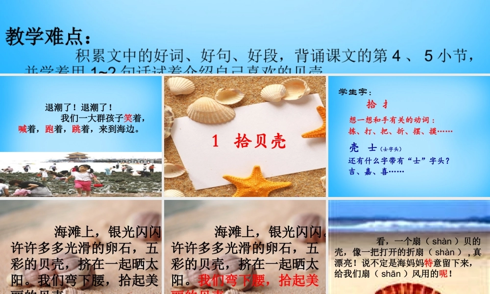 秋二年级语文上册《拾贝壳》课件3 沪教版-沪教版小学二年级上册语文课件