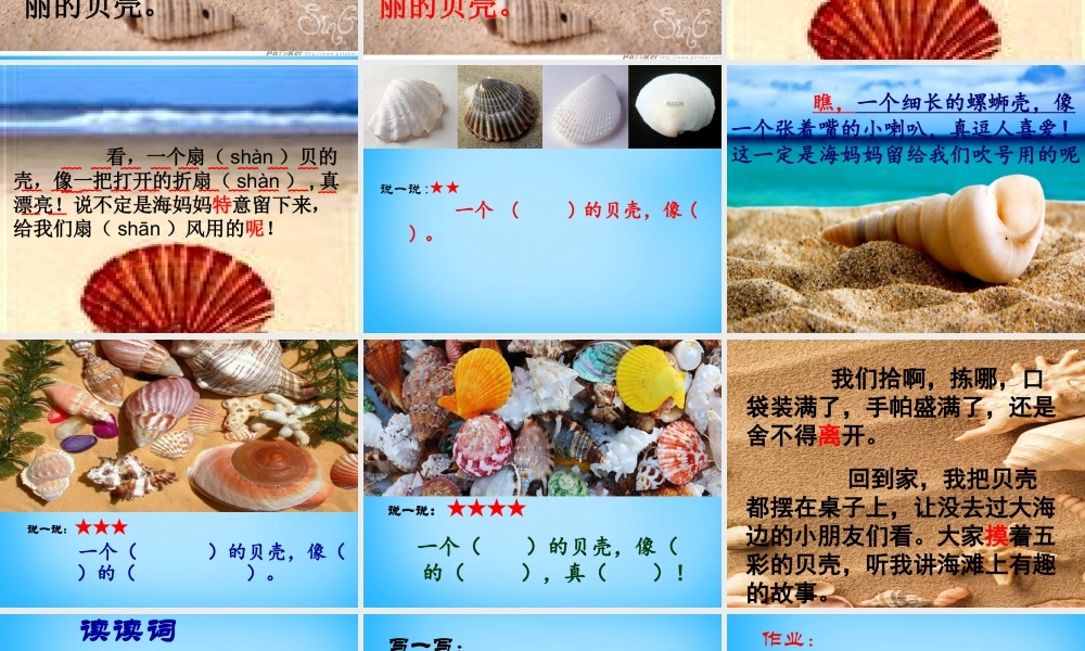 秋二年级语文上册《拾贝壳》课件3 沪教版-沪教版小学二年级上册语文课件