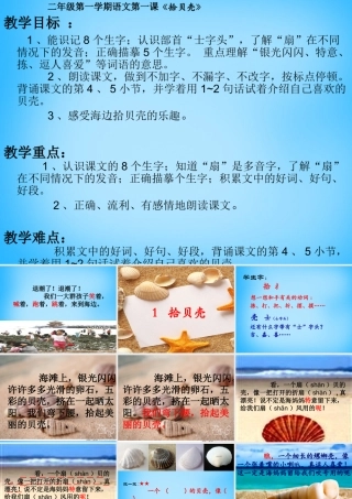 秋二年级语文上册《拾贝壳》课件3 沪教版-沪教版小学二年级上册语文课件