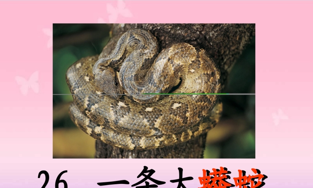 秋二年级语文上册《一条大蟒蛇》课件3 沪教版-沪教版小学二年级上册语文课件