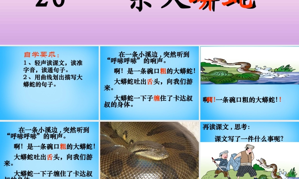 秋二年级语文上册《一条大蟒蛇》课件3 沪教版-沪教版小学二年级上册语文课件