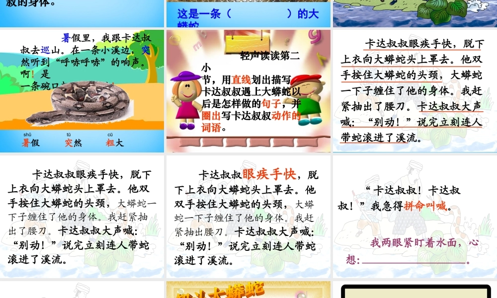 秋二年级语文上册《一条大蟒蛇》课件3 沪教版-沪教版小学二年级上册语文课件