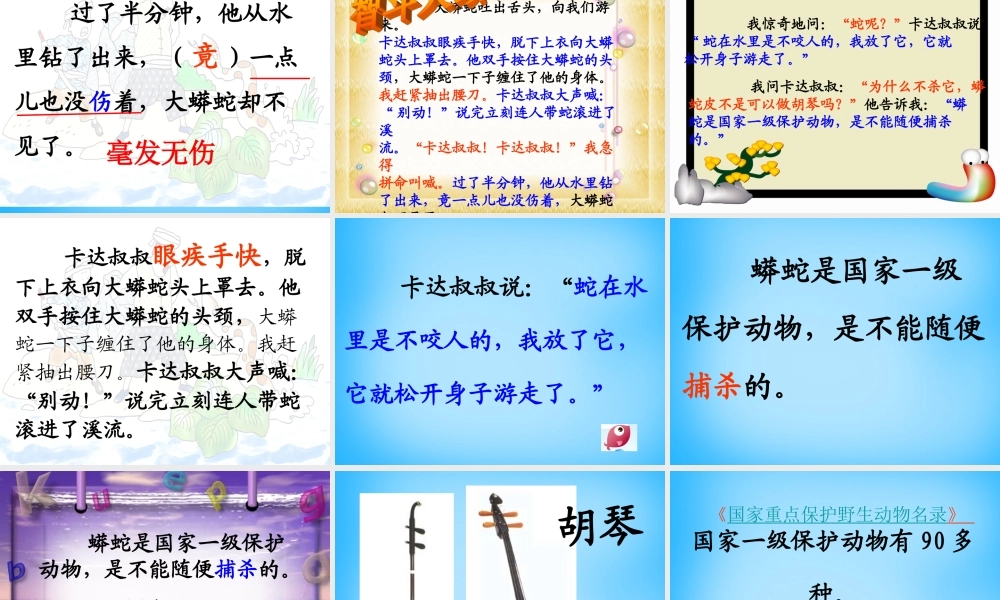 秋二年级语文上册《一条大蟒蛇》课件3 沪教版-沪教版小学二年级上册语文课件