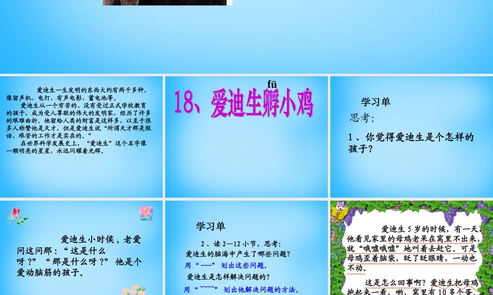 秋三年级语文上册《爱迪生孵小鸡》课件1 沪教版-沪教版小学三年级上册语文课件