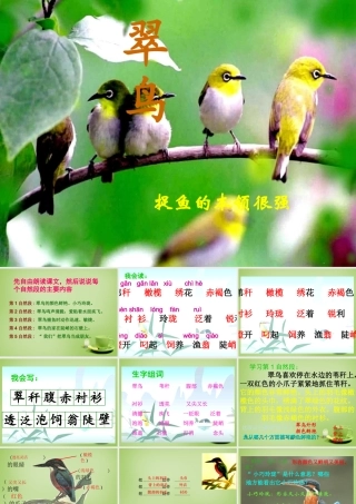 秋三年级语文上册《翠鸟》课件1 北师大版-北师大版小学三年级上册语文课件