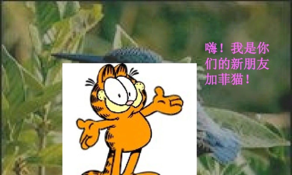 秋三年级语文上册《翠鸟》课件3 北师大版-北师大版小学三年级上册语文课件