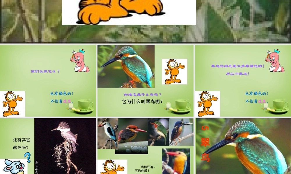 秋三年级语文上册《翠鸟》课件3 北师大版-北师大版小学三年级上册语文课件