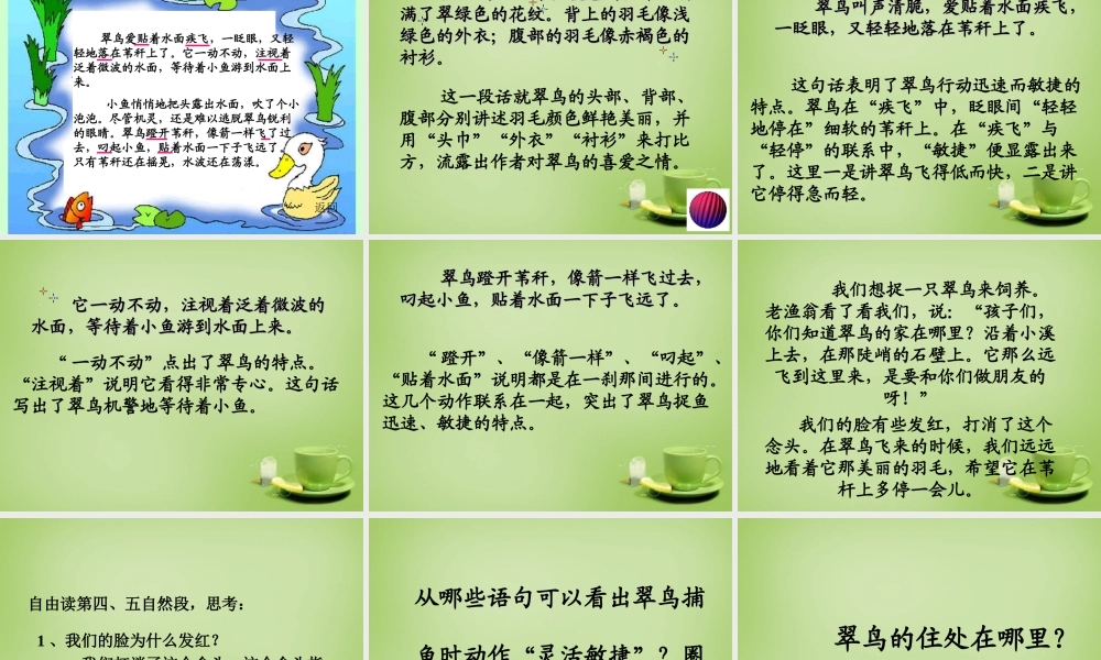 秋三年级语文上册《翠鸟》课件3 北师大版-北师大版小学三年级上册语文课件