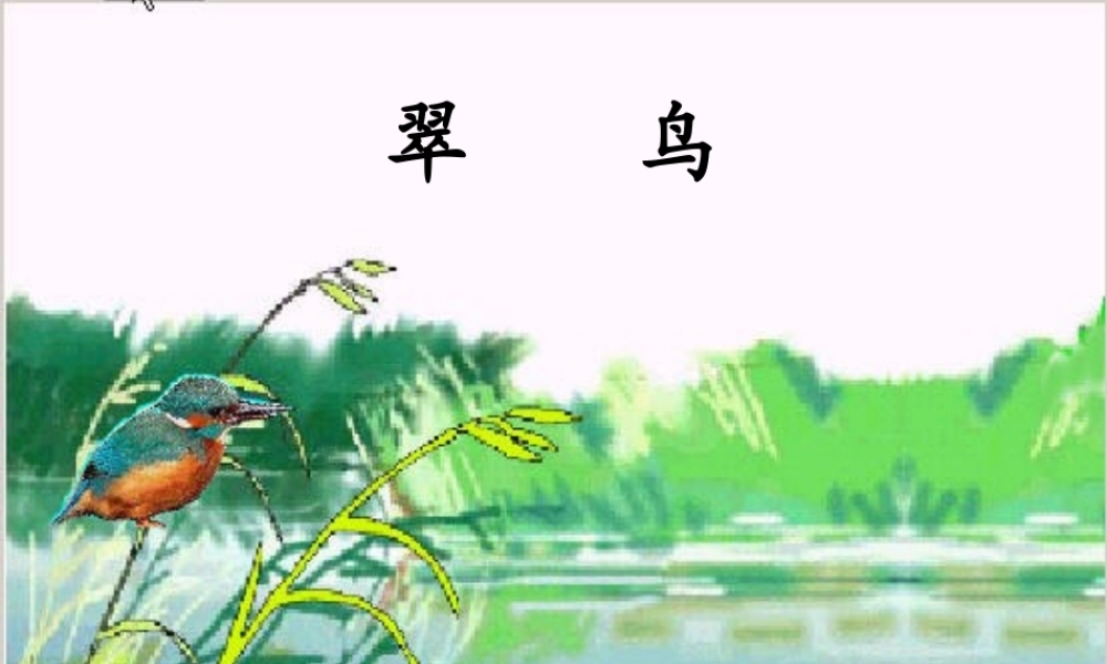 秋三年级语文上册《翠鸟》课件4 北师大版-北师大版小学三年级上册语文课件