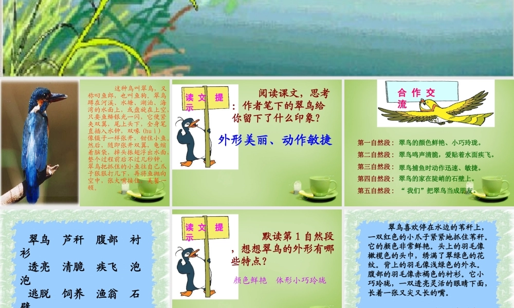 秋三年级语文上册《翠鸟》课件4 北师大版-北师大版小学三年级上册语文课件