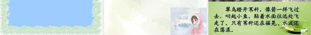 秋三年级语文上册《翠鸟》课件4 北师大版-北师大版小学三年级上册语文课件