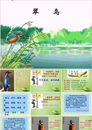 秋三年级语文上册《翠鸟》课件4 北师大版-北师大版小学三年级上册语文课件